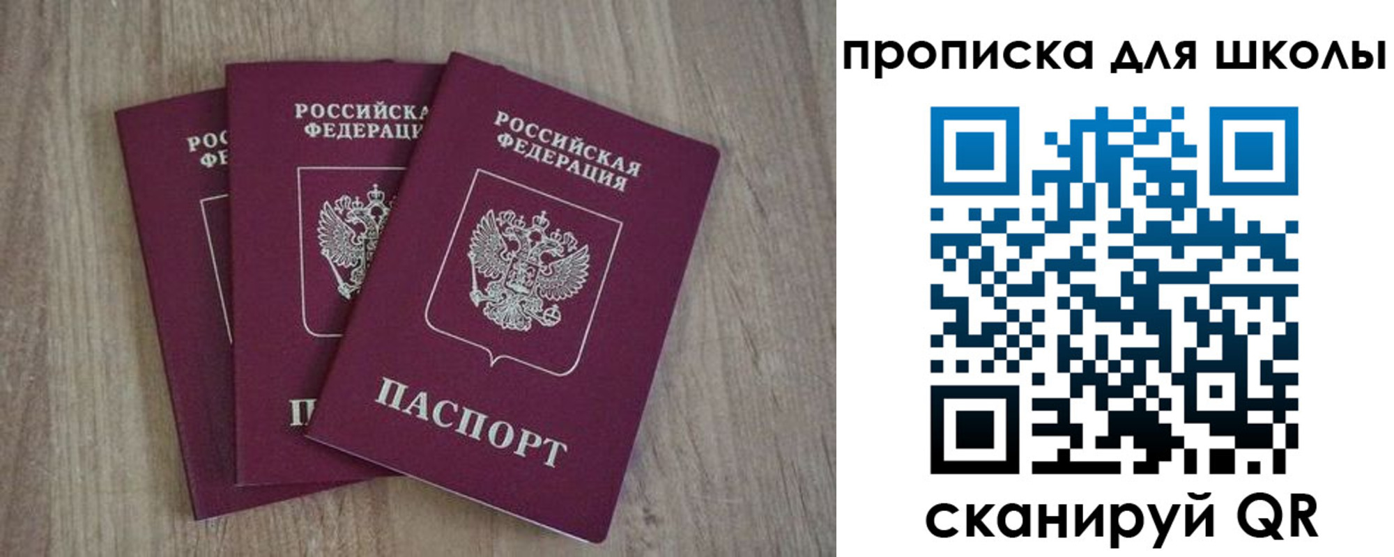 прописка для школы в Александровске